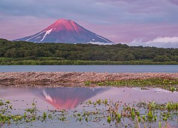 Hồ Kuril, Kamchatka Vương quốc của loài gấu nâu