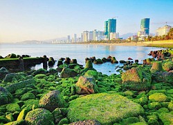Khám phá vẻ đẹp riêng của Nha Trang