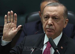 Lãnh đạo Thổ Nhĩ Kỳ và Thụy Điển thảo luận tháo gỡ khó khăn về gia nhập NATO