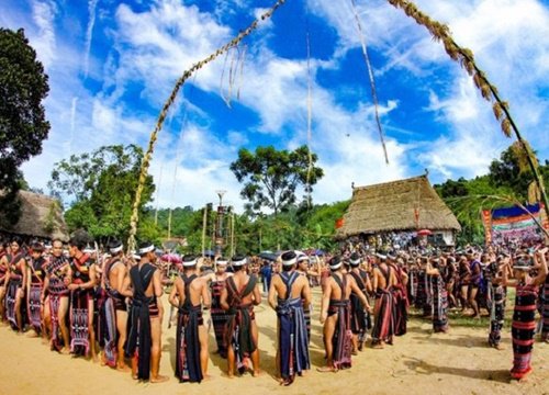 Lễ hội mừng lúa mới ở Tây Nguyên