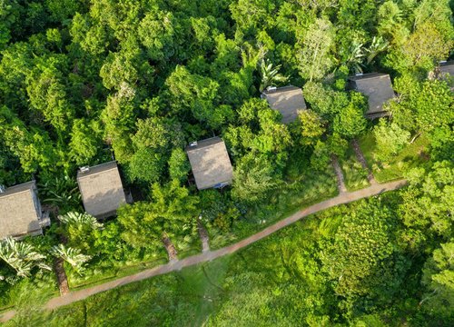 Mango Bay Phú Quốc: Một trong 14 resort trong rừng độc đáo trên thế giới