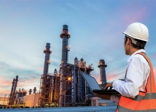 Ngành học của Việt Nam lọt top 100 thế giới, đầu vào không khó