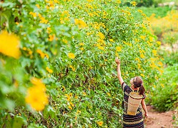 Những cung đường thơ mộng ở Tây Nguyên hút khách