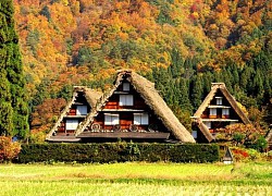 Shirakawa go ngôi làng cổ trường tồn mãi với thời gian