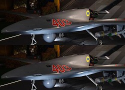 Thống đốc Sevastopol: Nga đẩy lùi cuộc tấn công bằng UAV vào bán đảo Crimea