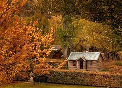 Arrowtown thị trấn đào vàng lâu đời chứa đầy điều thú vị của New Zealand