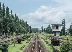 Chuyến tàu sang trọng đến ngôi đền Phật giáo lớn nhất thế giới