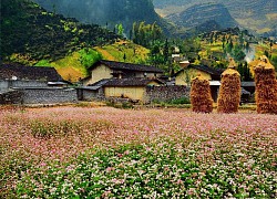 Đi du lịch thung lũng Sủng Là Hà Giang