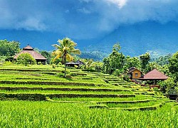 Những điểm du lịch nổi tiếng nổi tiếng ở Bali