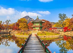 Du lịch Hàn Quốc đón thu vàng tại Seoul - Nami - Everland