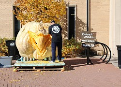 Quả bí ngô lớn nhất biến thành đèn lồng khổng lồ cho lễ Halloween