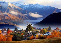 Thị trấn Wanaka Thiên đường nghỉ dưỡng đẹp như mộng ở New Zealand