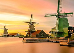 Thị trấn Zaanse Schans Trải nghiệm thú vị ở quê hương của cối xay gió