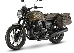 Xế nổ Moto Guzzi V7 lên đồ xe nhà binh, nhìn cực ngầu