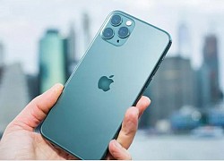 Đây là những iPhone cũ đáng mua nhất hiện nay