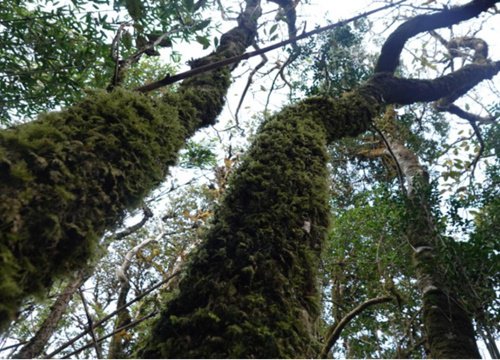 Khám phá thung lũng Tà Cua Y