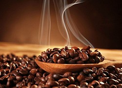 Giá cà phê hôm nay 5/10: Arabica 'mình một đường', nguồn cung robusta dồi dào, dòng tiền đầu cơ có khả năng chuyển hướng?