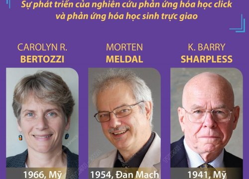 Giải Nobel Hóa học tôn vinh nghiên cứu trong phát triển liên kết phân tử