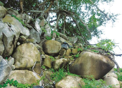 Tây Ninh: Bãi đá chuông trên núi Heo