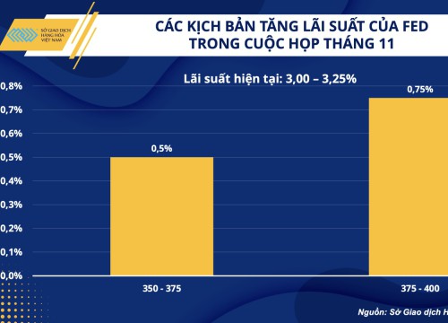 Liệu quyết định cắt giảm sản lượng có thực sự giúp cho OPEC+ cứu vớt giá dầu?