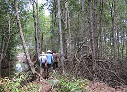 Trà Vinh phấn đấu đưa du lịch trở thành ngành kinh tế mũi nhọn