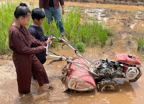 Nhiều lựa chọn cho du lịch trải nghiệm tại Long An