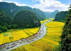 Ninh Bình tạo trụ đỡ tăng trưởng "xanh"