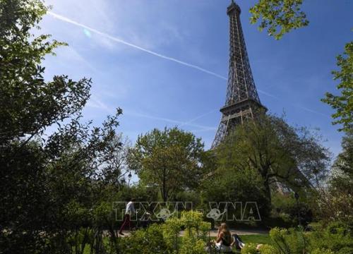 Pháp hủy bỏ kế hoạch chặt cây và xây cửa hàng dưới chân Tháp Eiffel