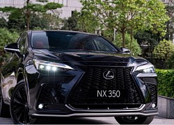 Sẽ mất 4 năm để khắc phục lỗi trên 24 chiếc sang Lexus NX350 bán tại Việt Nam