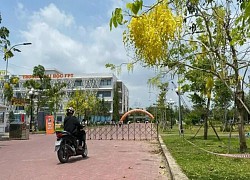 Thí sinh bị 0 điểm Tiếng Anh do ngủ quên được học dự bị đại học, Trường ĐH FPT nói gì?