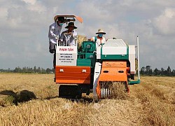 Thứ trưởng Trần Thanh Nam: Cơ giới hóa đồng bộ để gia tăng giá trị sản xuất nông nghiệp