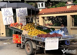 Trái cây ngoại ồ ạt về chợ Việt, có loại giá rẻ hơn rau