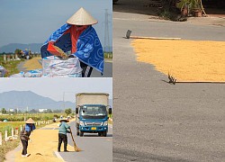 Tranh cãi bác bảo vệ xúc thóc xuống ruộng để HS đi lại an toàn