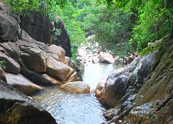 Về Khe Lim ngắm 'thạch ngư' có một không hai