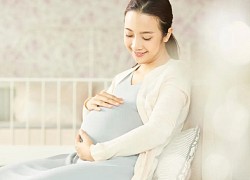 Xin đồng nghiệp một đứa con, tôi không ngờ chuyện sau đó càng khó xử