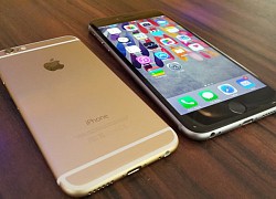 Apple thêm iPhone 6 2014 vào danh sách lỗi thời