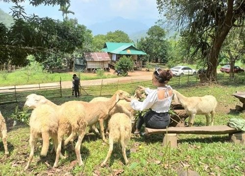 Cắm trại 'glamping', hòa mình cùng thiên nhiên nhưng vẫn tiện nghi