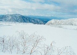 Cung đường tuyết Tateyama Kurobe Alpine - "Mái nhà của Nhật Bản"