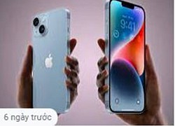 iPhone 14 Plus bị chê kém hơn điện thoại cao cấp giá rẻ của Xiaomi