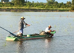 Không gian mưu sinh mùa nước nổi miền Tây