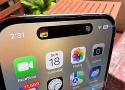 Lựa chọn bản iPhone 14 nào nếu thích màn hình lớn