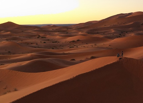 Ngủ qua đêm chờ đón bình minh trên sa mạc Sahara