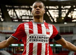 PSV 'chốt' giá bán Cody Gakpo cho Man United