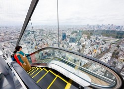 Shibuya Sky - Góc chiêm ngưỡng Tokyo từ trên cao