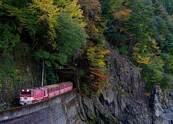 Shizuoka - vùng đất yên bình và nên thơ của Nhật Bản