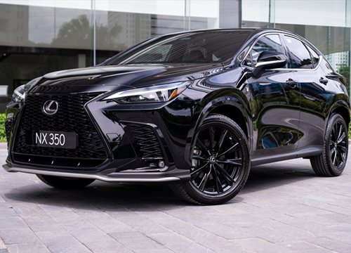 Triệu hồi xe sang Lexus NX350 vì lỗi phần mềm điều khiển phanh