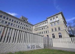 WTO hạ dự báo tăng trưởng thương mại toàn cầu năm 2023