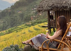 5 homestay ngắm toàn cảnh mùa lúa chín Tây Bắc đẹp "quên lối về" đang có giá rất hợp lý