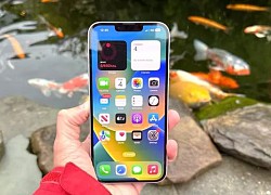 5 lý do khiến iFan không thể chối từ iPhone 14 Plus