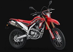 Ảnh chi tiết Honda CRF300L Enduro Pro vừa ra mắt